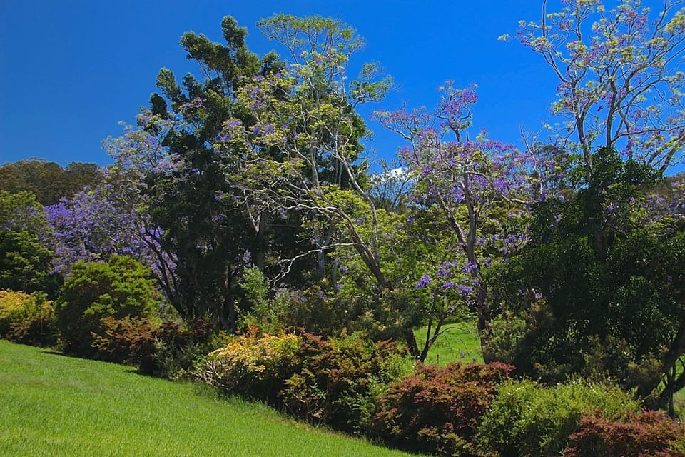 View of driveway from Dairy Cottage Daeck