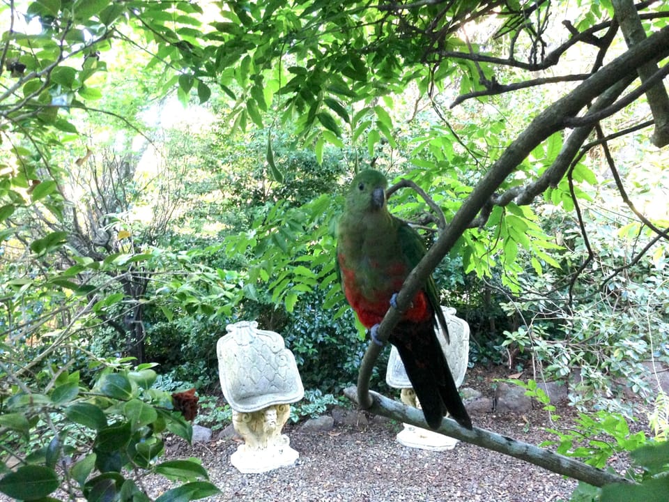 Front Garden