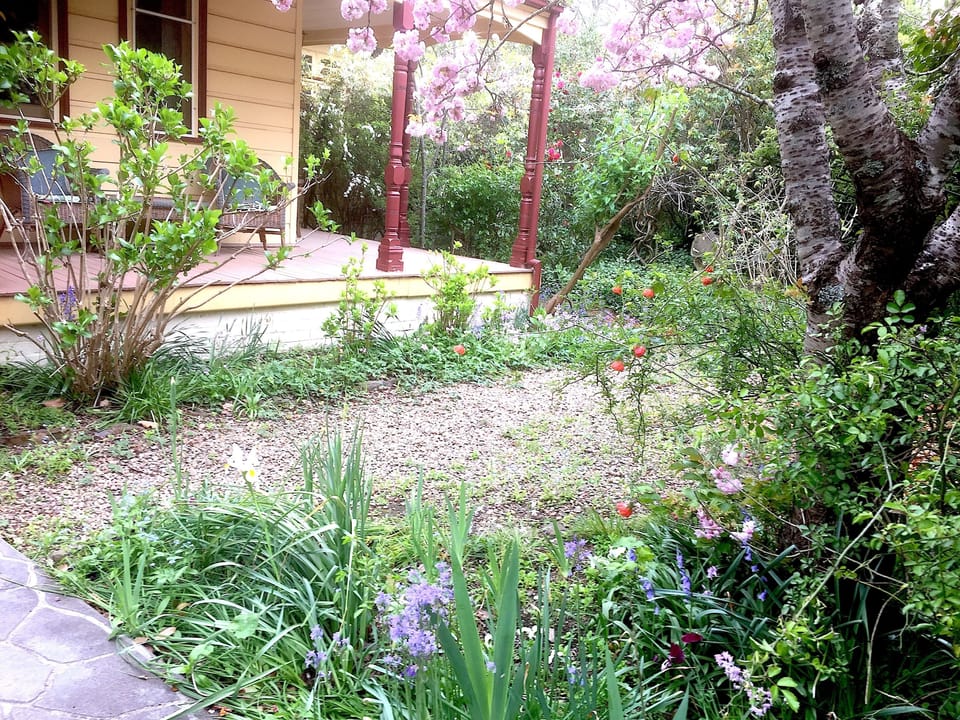 Front garden in Spring