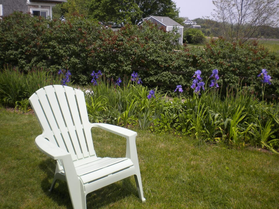 Just for you Come relax in backyard