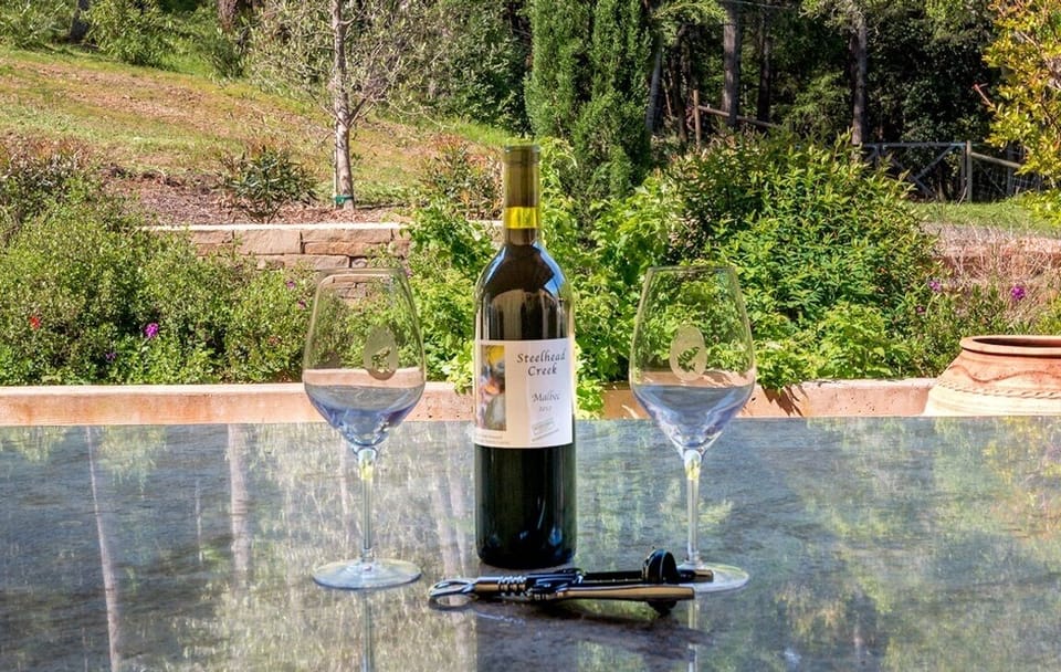 Estate wine and wine glasses upon arrival!