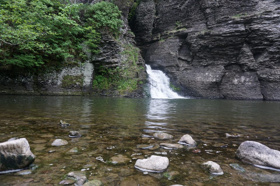 The falls at Minekill only 15 min away !!