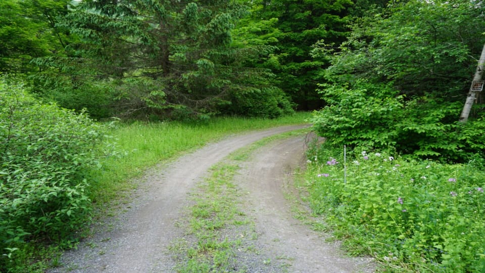 Driveway to our getaway