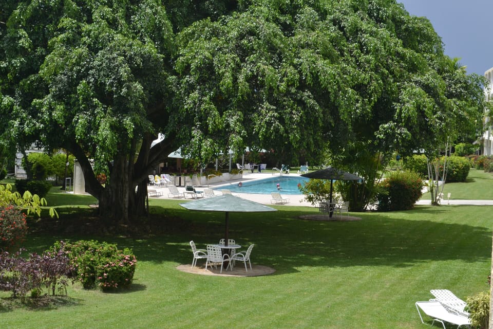 Grounds of Golden View with mature trees and shaded gazebos
