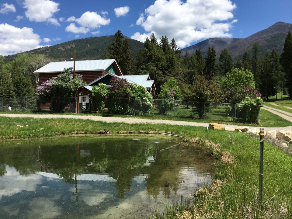 Eastern View of Luxury NW Montana Cabin/Home on 40 Acre Private Estate