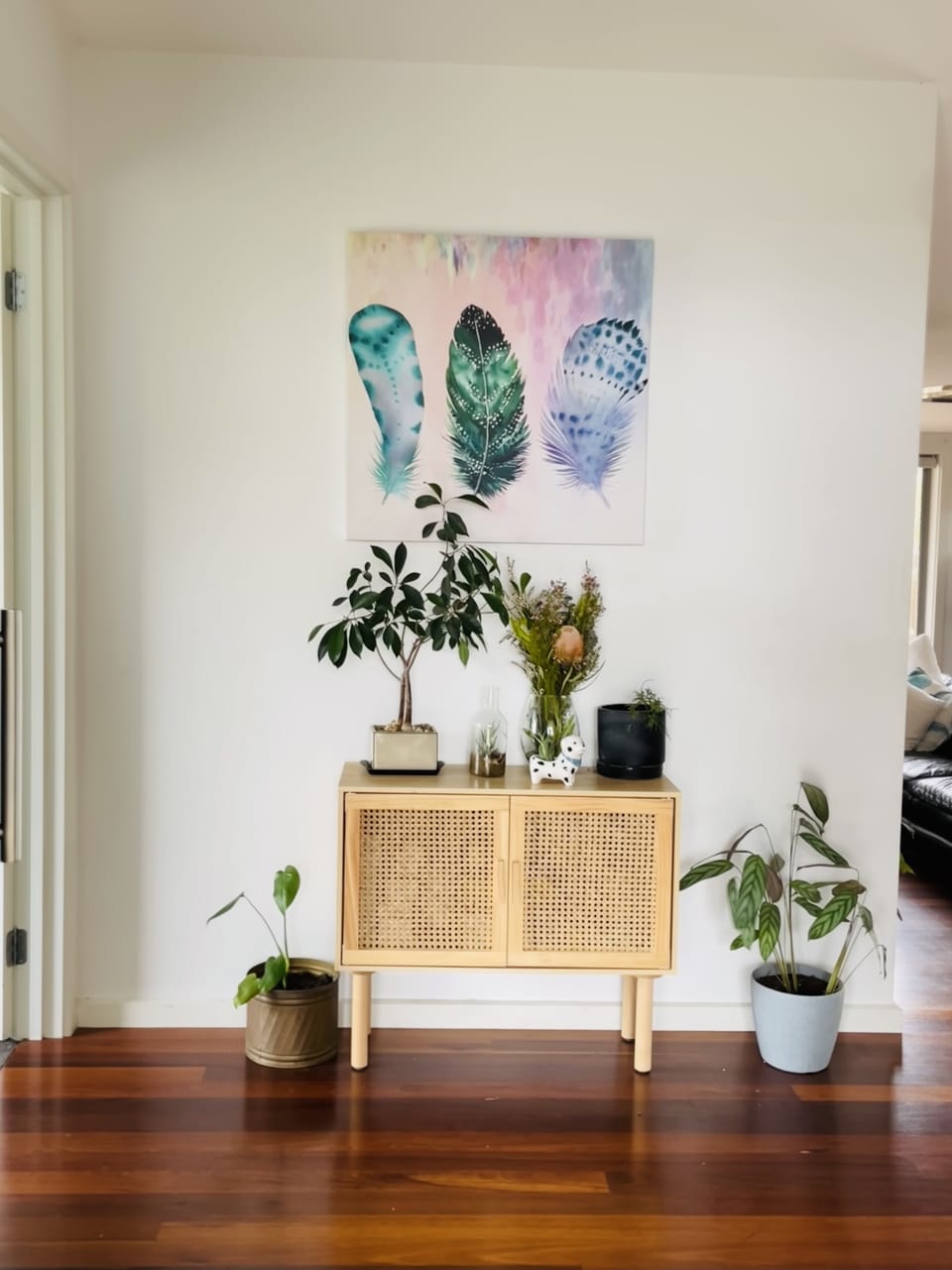 Welcome to Birdrock Oasis
