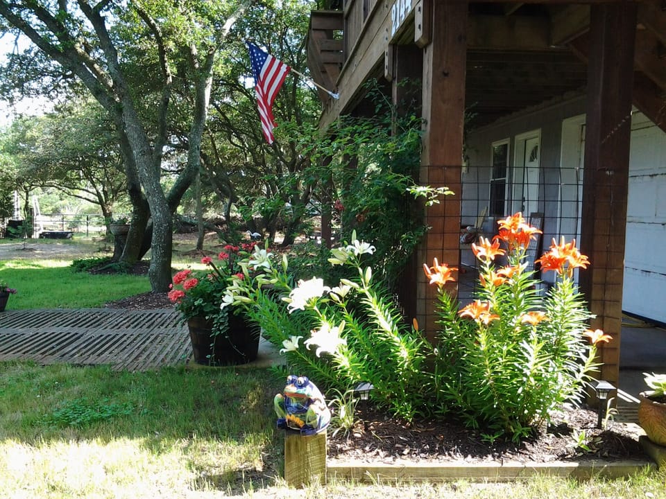 Depending on the season, you'll get to enjoy many varieties of flowers blooming 