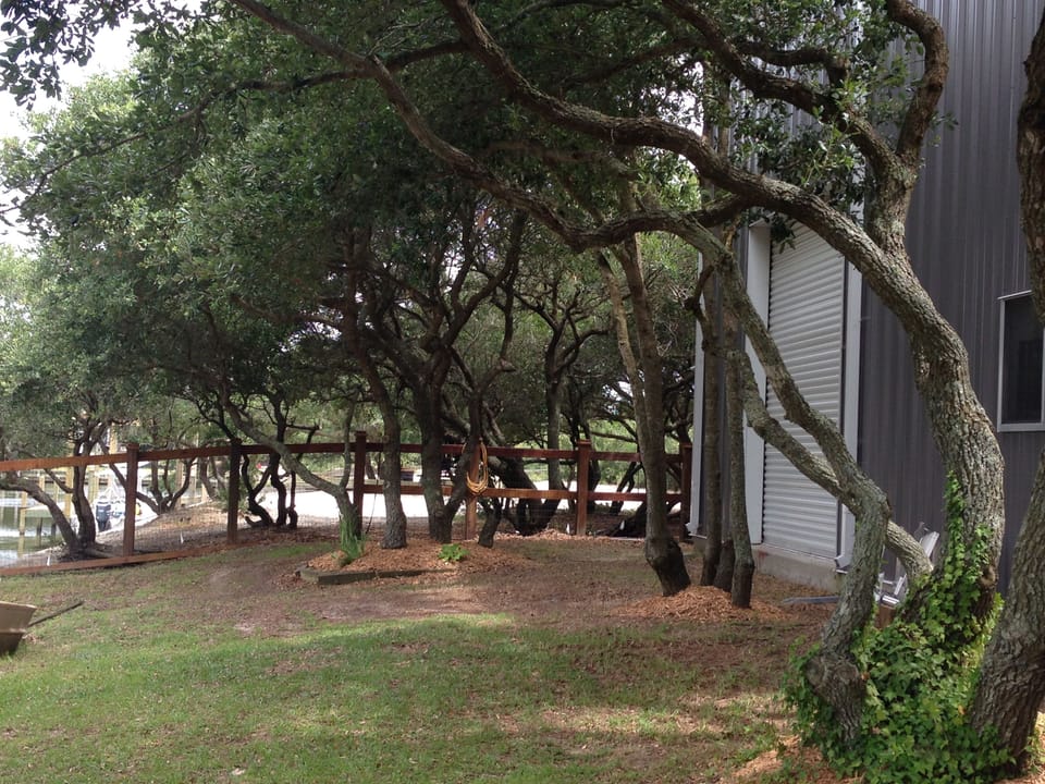 We take pride in our live oak trees and completely enjoy the breeze they provide