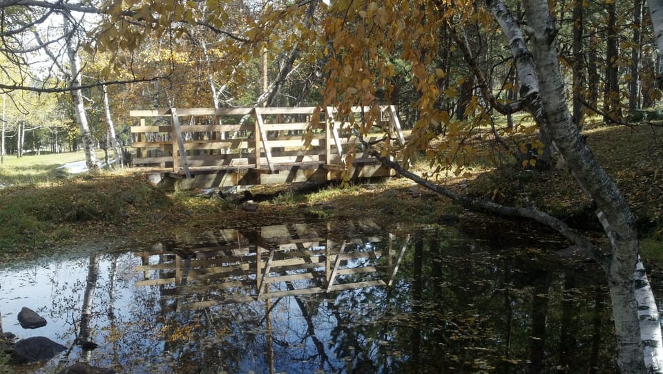 Bridge with Aspen  reflections in upper pond