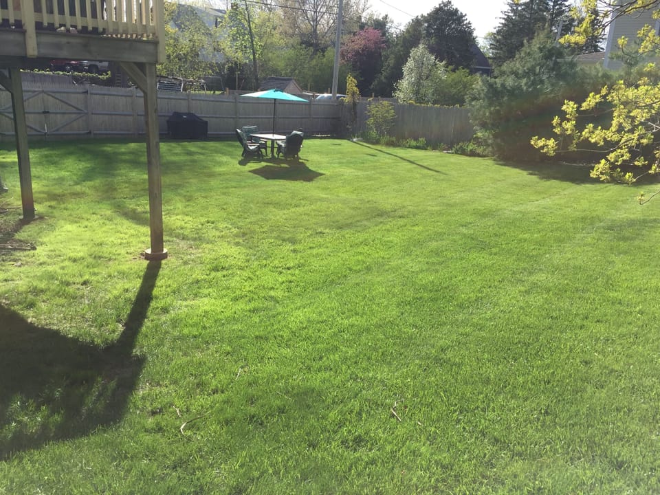 Backyard