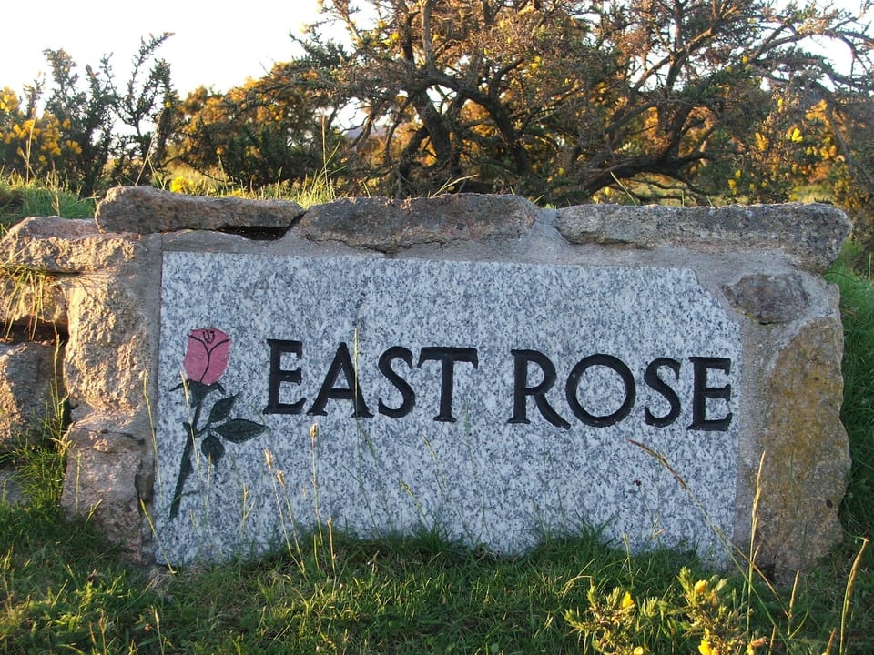 EAST ROSE