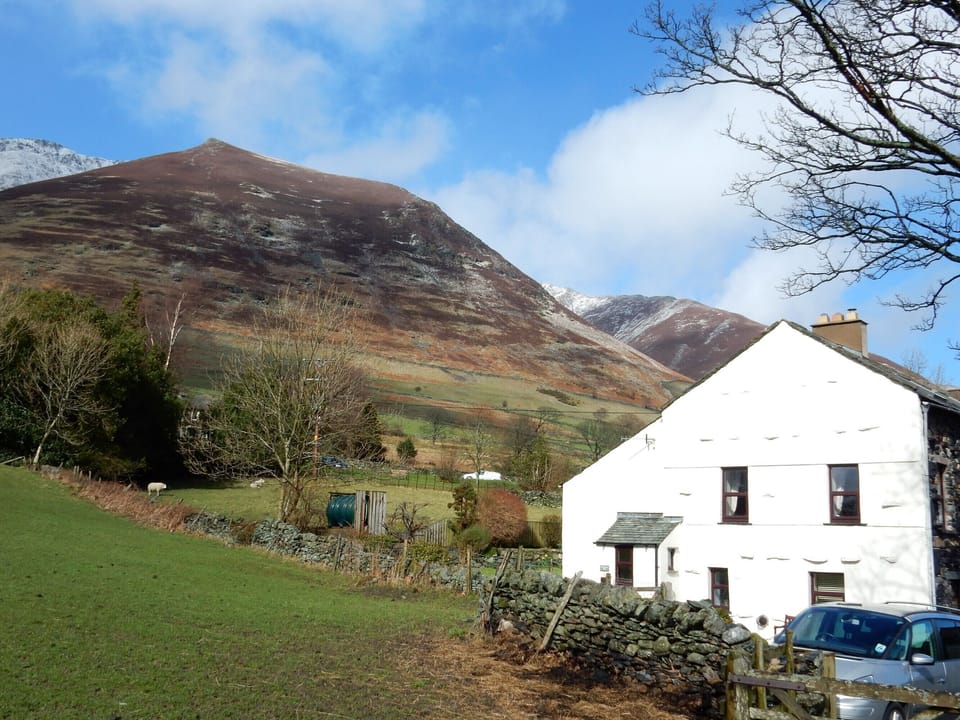 Blenacthra