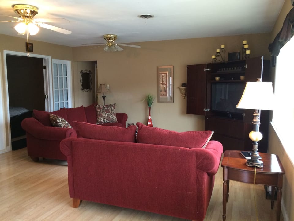 Bright Living Room with a sofa sleeper.