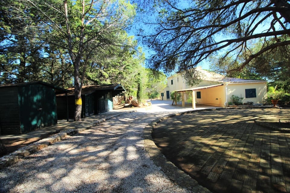 Back view of the house.