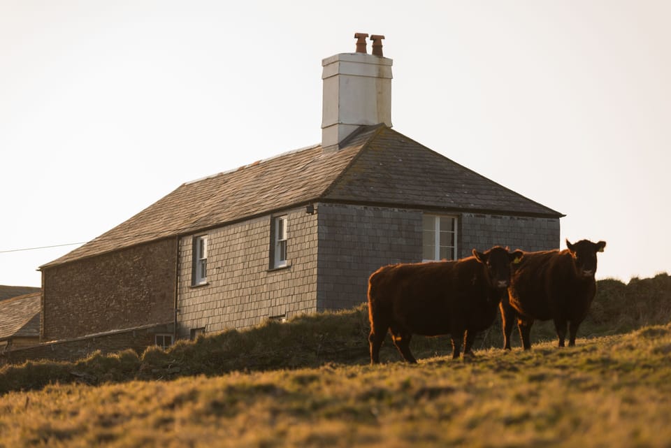 Cornish slate hung Cornish cottage tucked into the North Cornish cliffs