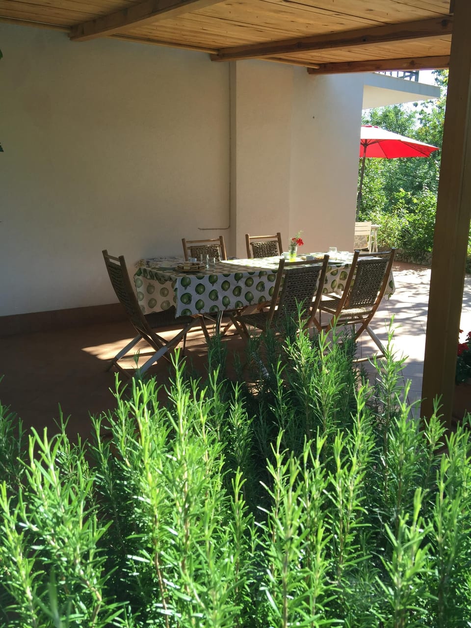 Rosemary and other herbs that you can pick up and use for your delicious cooking