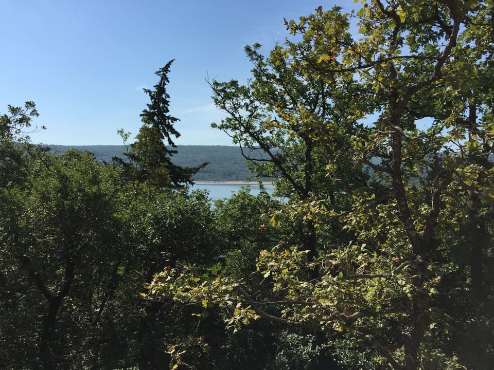 View from the room 