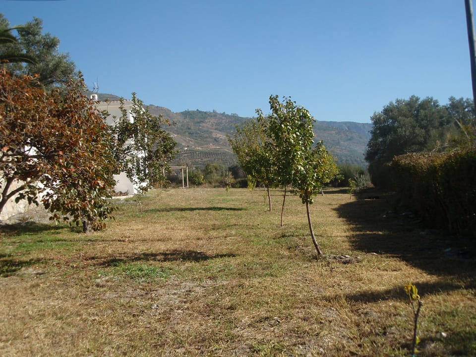 View East along housegarden towards parking area