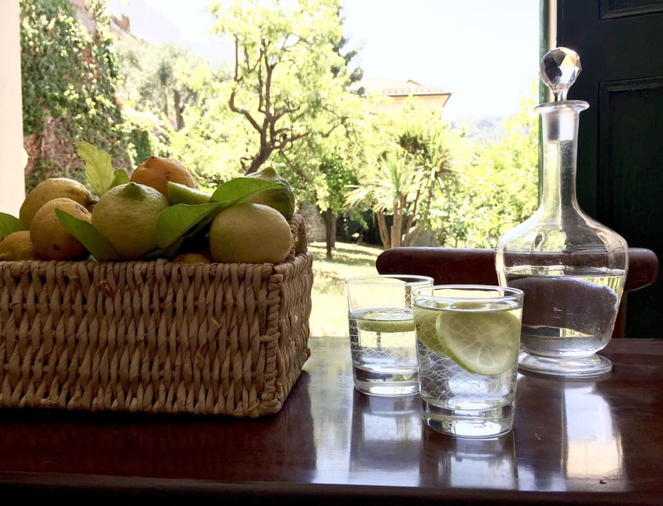 Fresh home made lemonade with our garden's lemons!