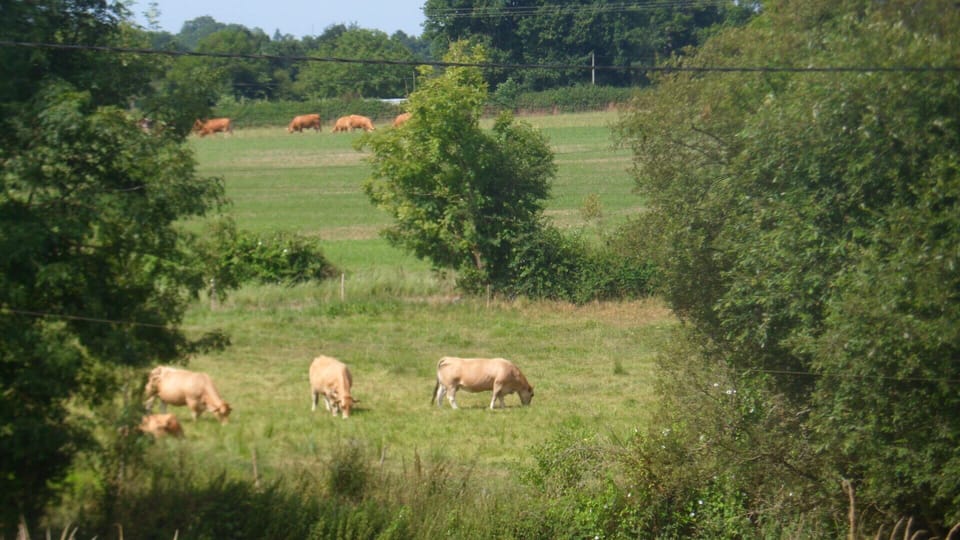 The views from the gardens