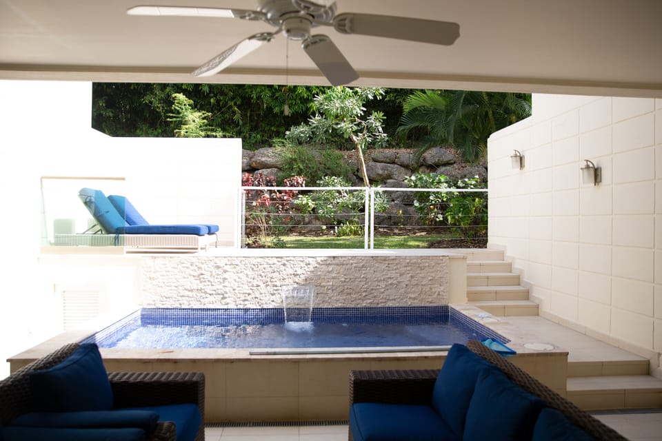 Pool area and rear garden