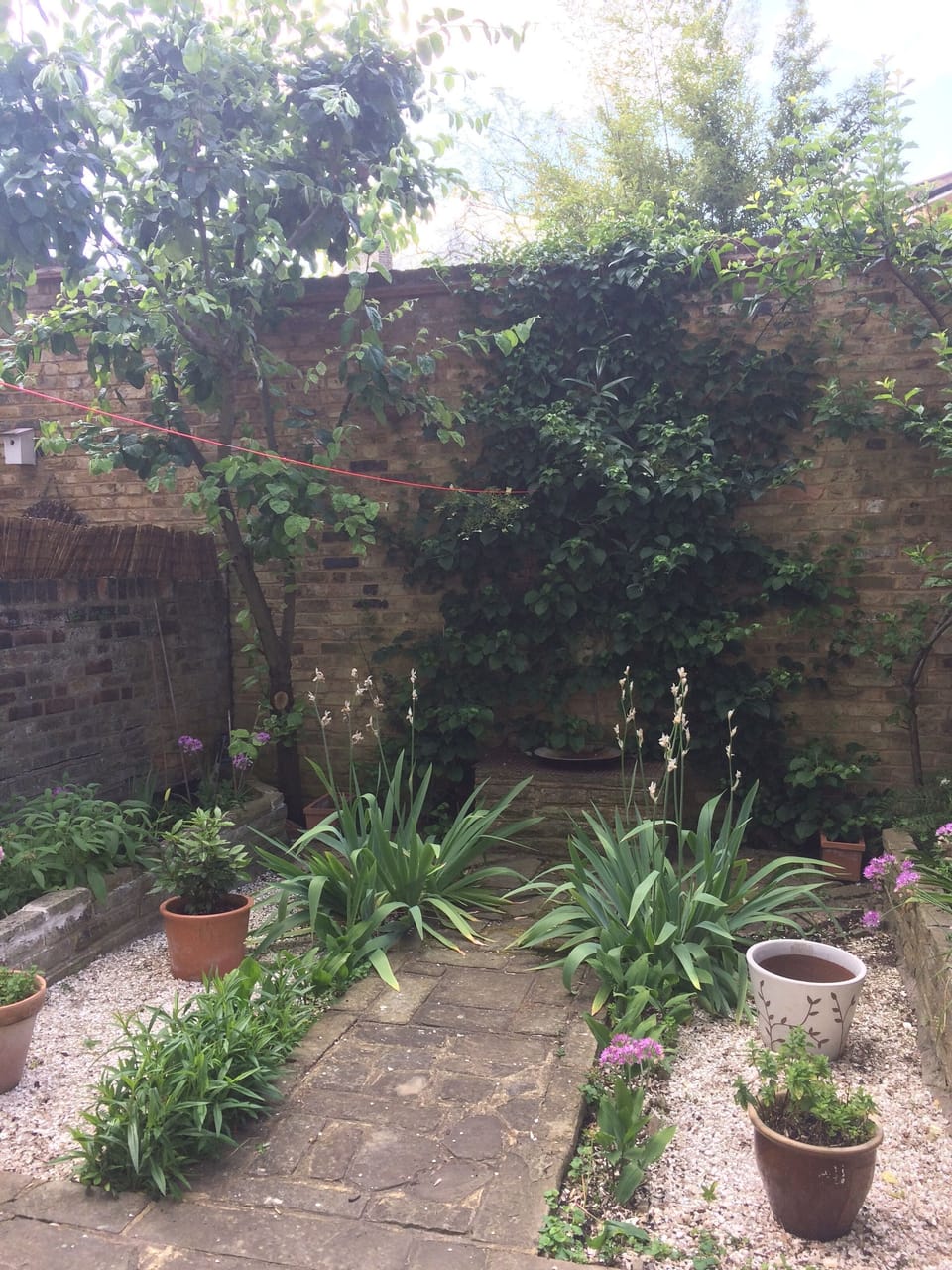 Garden !