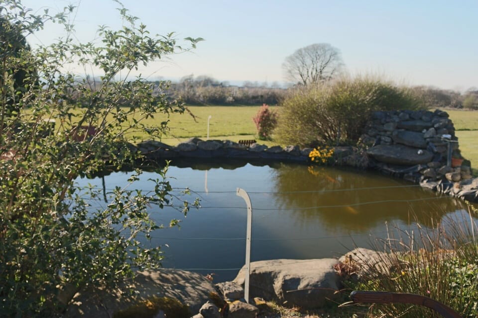 your garden