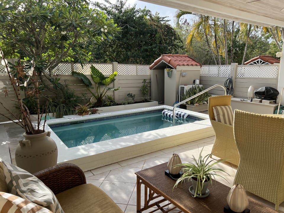Relaxing private plunge pool area