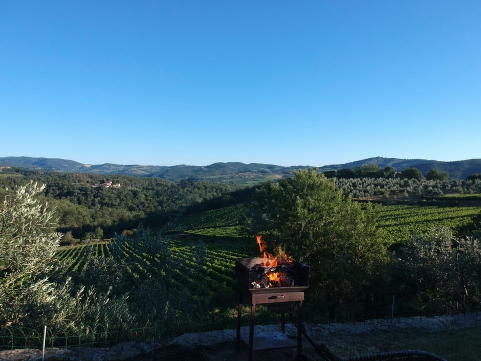 Enjoy a nice BBQ in the garden
