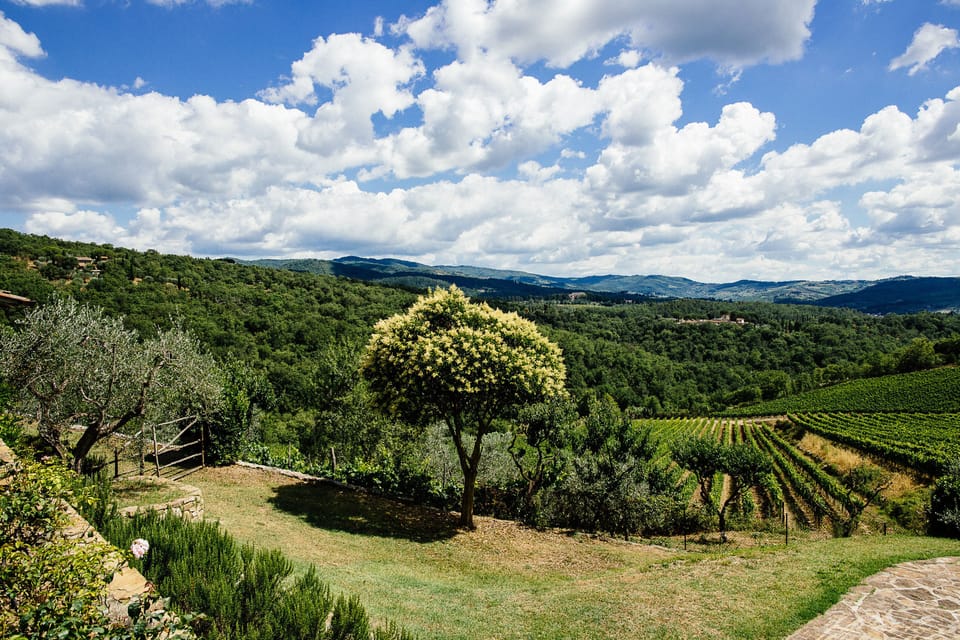 Another view from the garden
