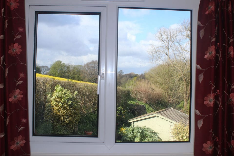 View from bedroom window