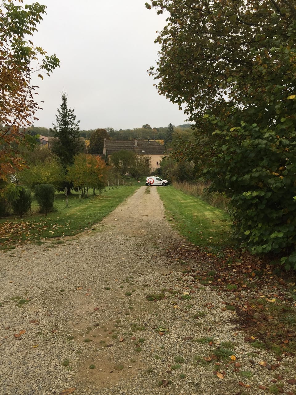 Drive, looking away from house