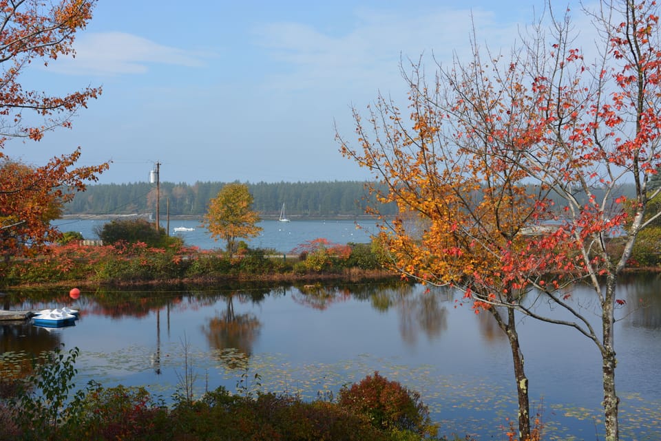 And who can refute the fall colors are spectacular!