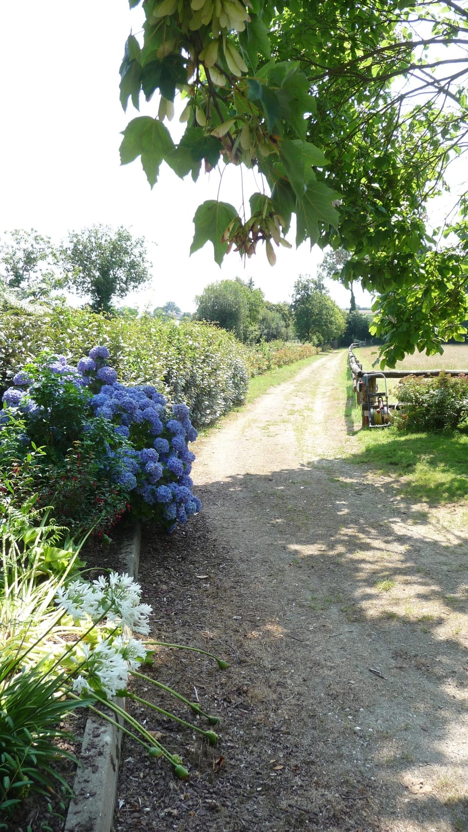 Parc de Lutin (2014) Owl Cottage chemin 