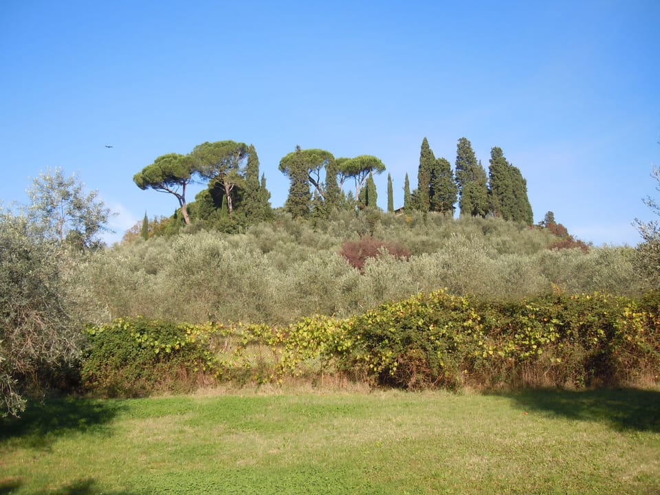 Nearby Park 