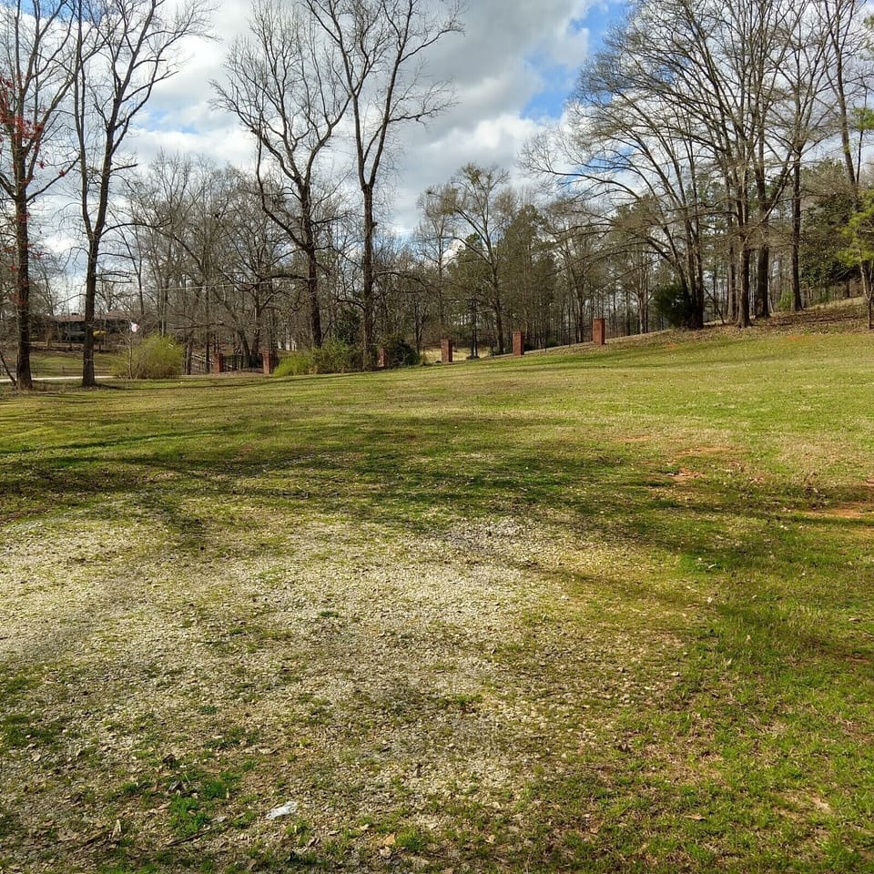Huge Front Yard to play in 
