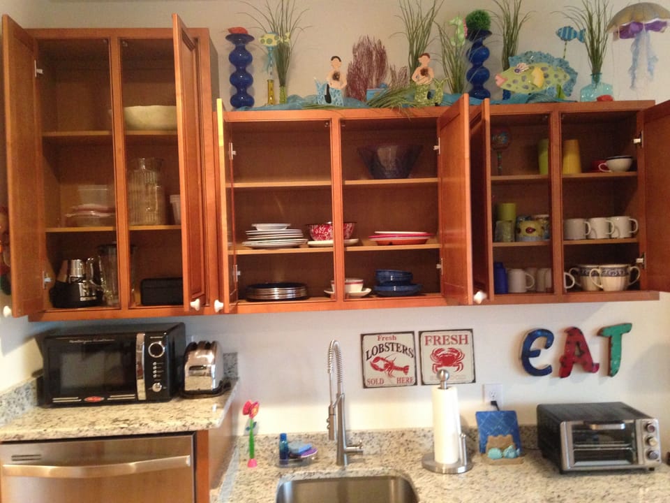 Fully stocked kitchenette: blender, induction burner, toaster oven, microwave.