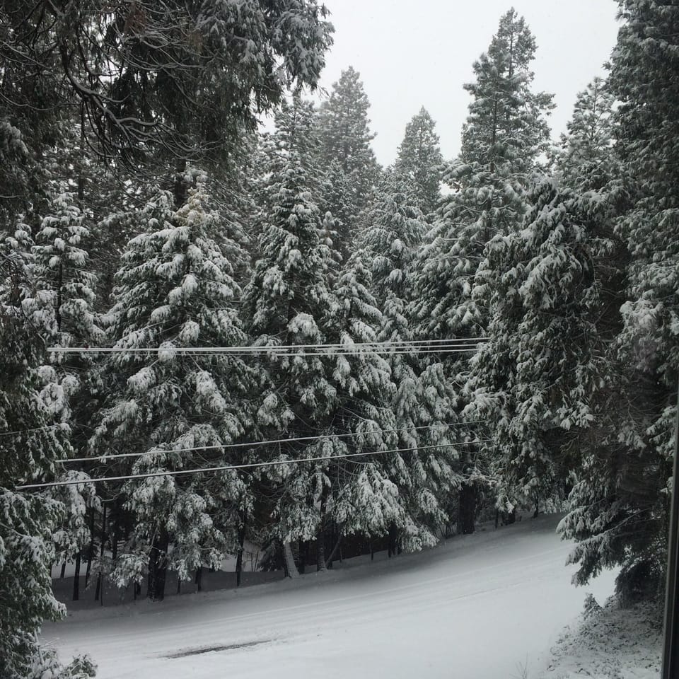 view from the front deck to the road in winter