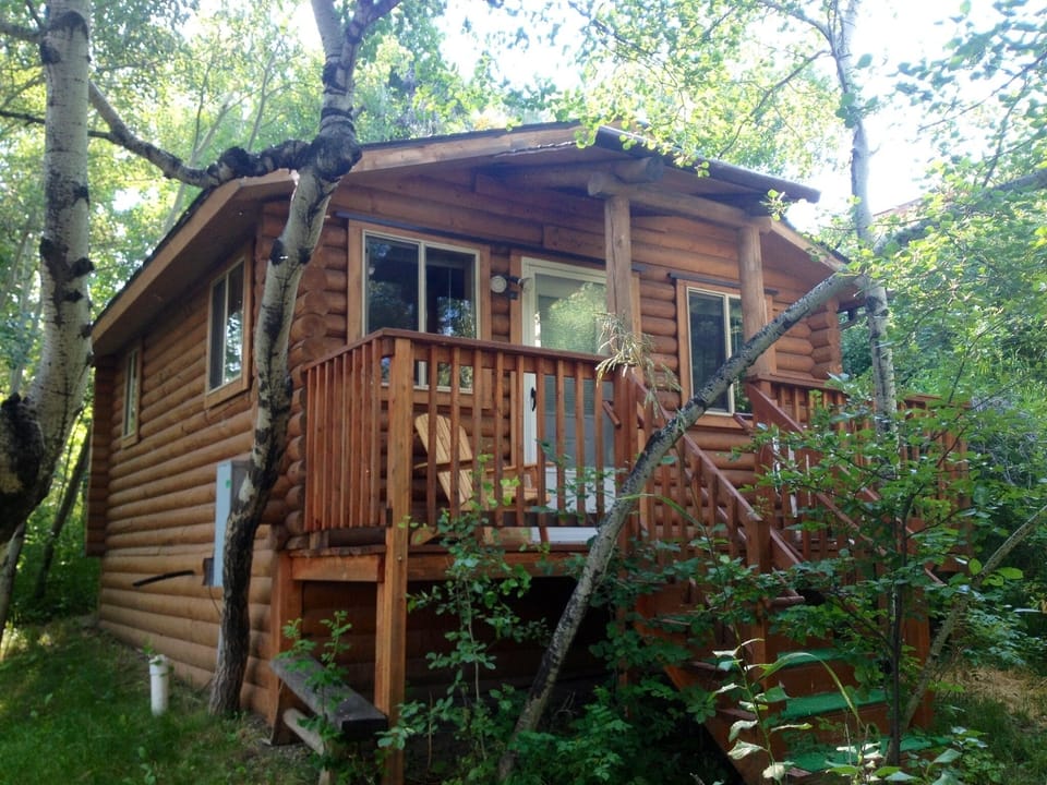 Relax, nestled in a grove of Aspen and surrounded by songbirds.