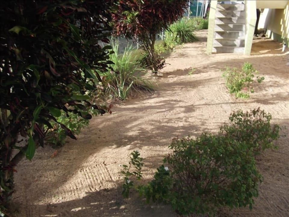 Herb garden.
