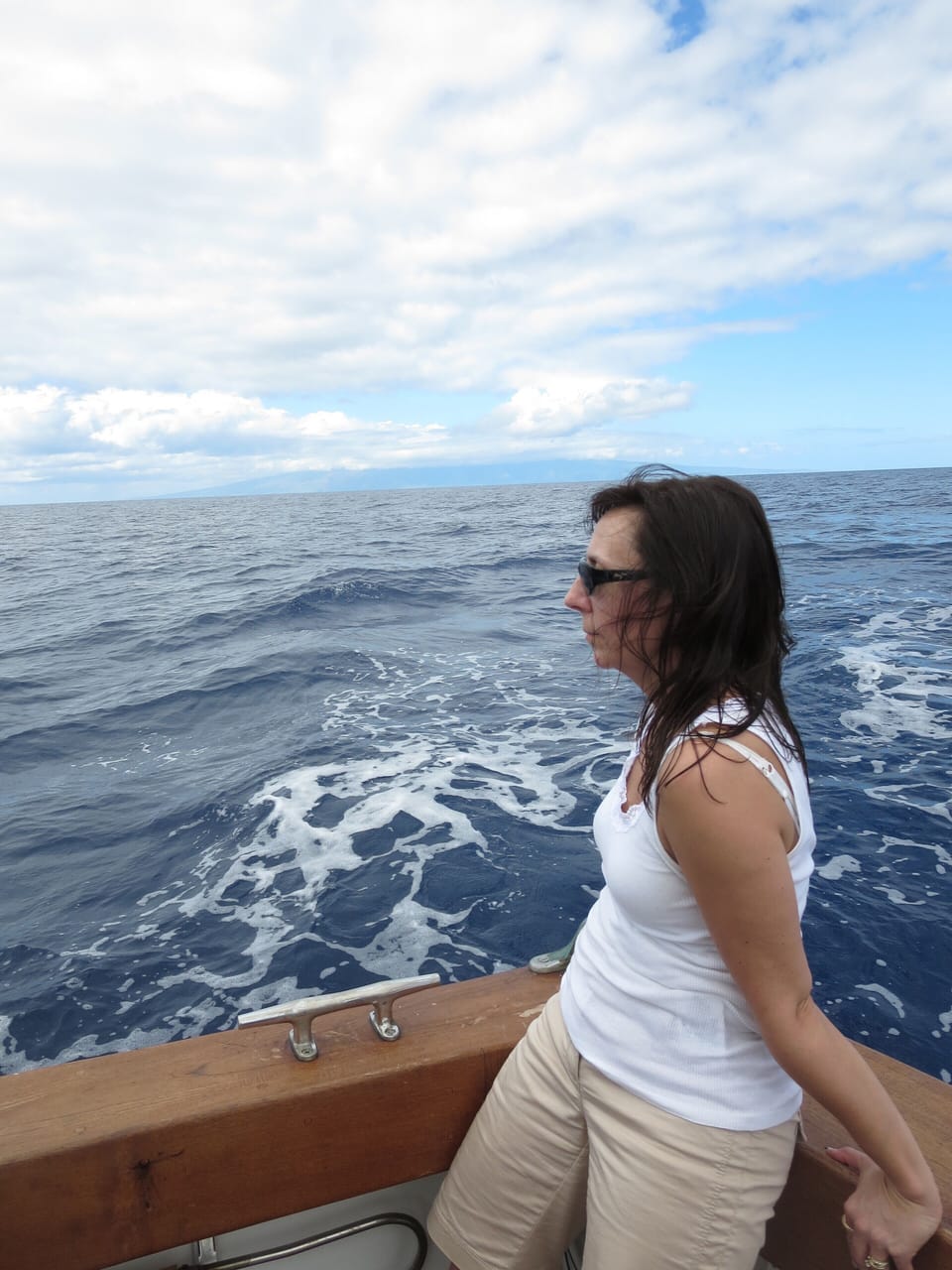 Enjoy whale watching