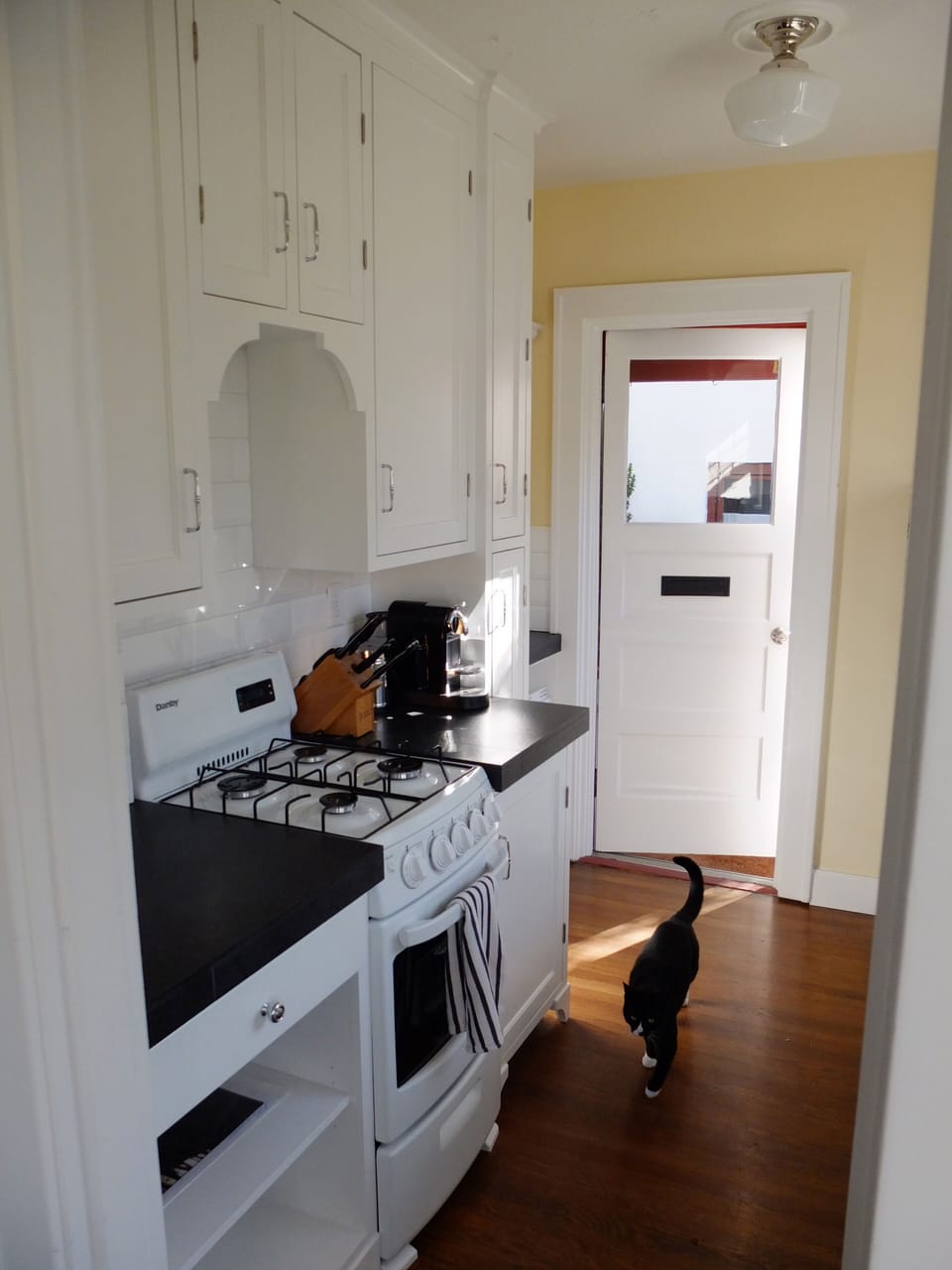 kitty not included