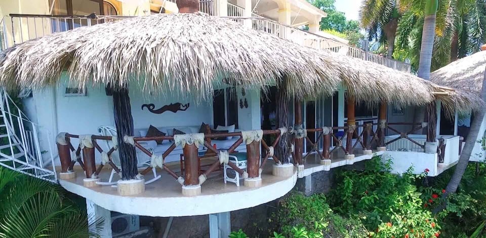 Palapa
