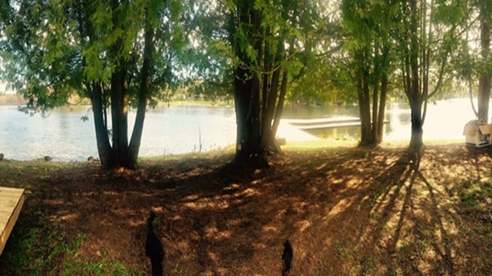 View to the dock