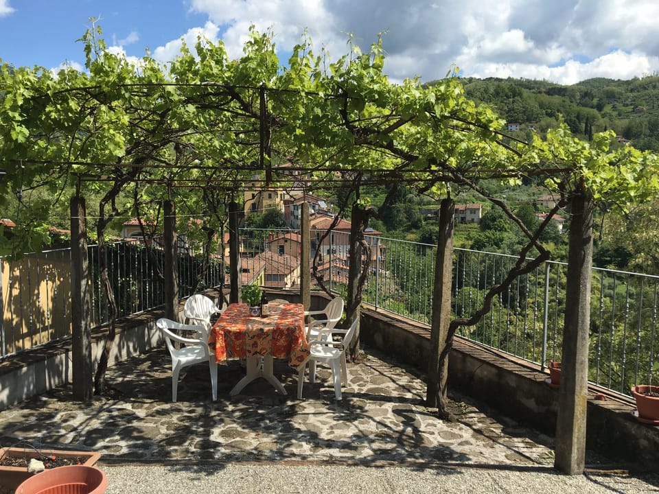 The pergola, perfectly shaded by grape vines for an afternoon glass of wine.