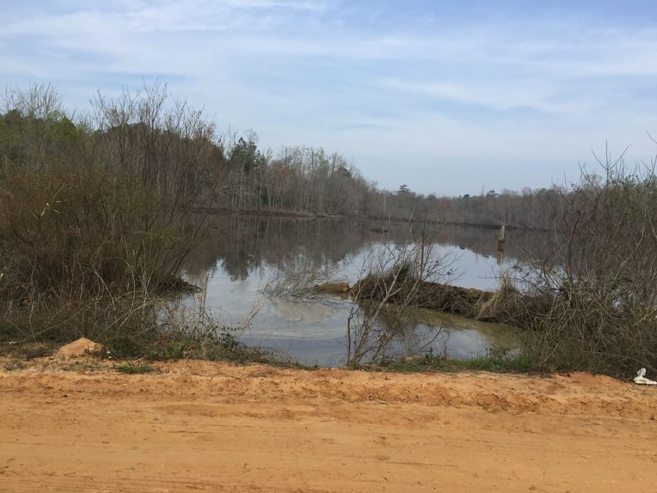 Beaver Pond down the road