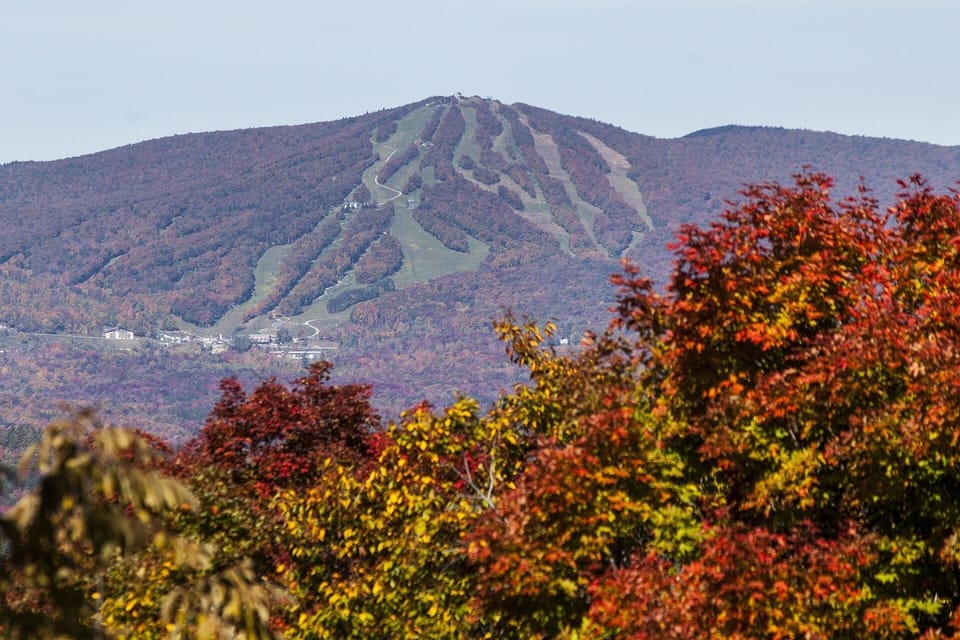 View of Bromley - Taken October 12th, 2015. Photo zoomed.