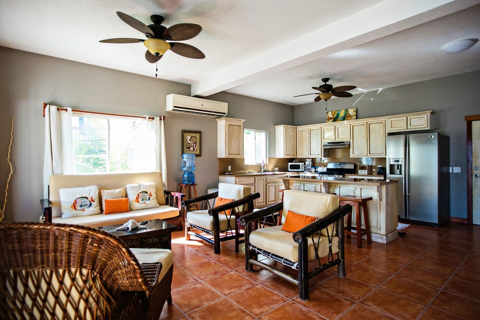 Downstairs Living / Kitchen