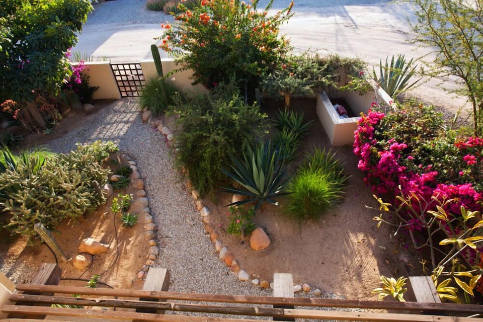 front garden
