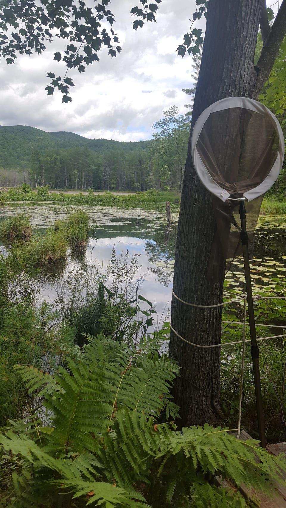 Quincy Bog 15 min drive